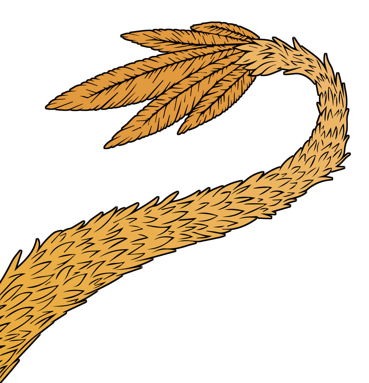a dragon's tail